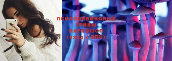амф Арсеньев
