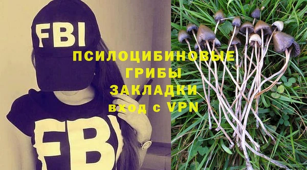 амф Арсеньев